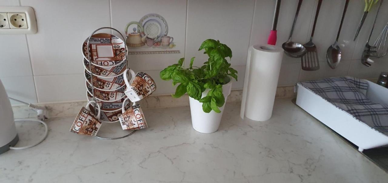 Daisy Apartment Пула Екстериор снимка